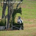 Lessons Available with Trainer Glenda Player (Union Bridge)