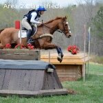 Lessons Available with Upper-Level Eventer Katie Wherley!