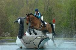 5320_110891697065_630432065_2622755_4582799_nligon_Custom