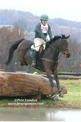 Andy_Amato1.V92P3022_Custom