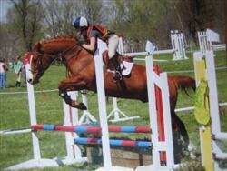 Michelle_Corbeille__Shorty_Redland_1_09_Custom