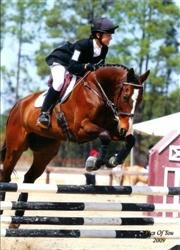 Morgan_Douglas_Custom