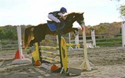 Nicole__WaredacaCopyNjr_Custom