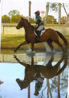 BN__N_AA_champ_Bebie_WinCE