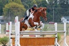 Dawn_Beach_T_O_champ_WinCE