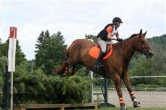 Jorgen_steeplechase_Small_WinCE