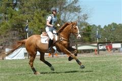 T_AA_Champ_Schlicht_WinCE