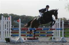 T_AA_Warnock_Constant_WinCE