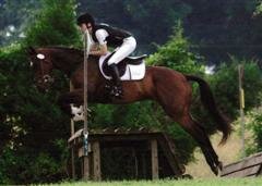 T_AA_Warnock_Hit__Run_WinCE