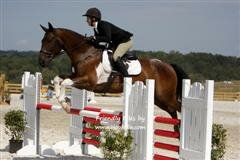 T_jr_champ_Hughes_WinCE