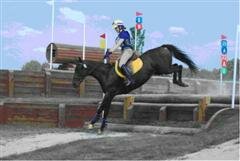 rachel_best_bn_jr_WinCE