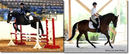 Parson 2013 best surprise