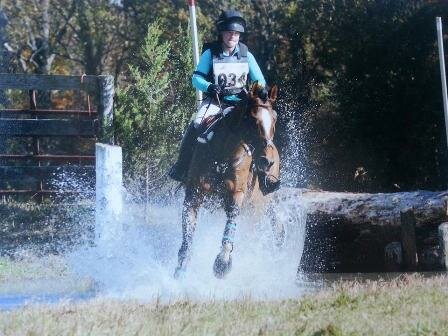 foxGusWaredaca2013water